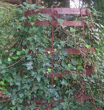 Rustic Whiskey barrel